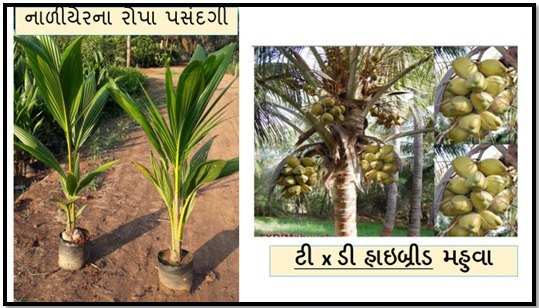 PHOTO-2025-05-03-16-13-27 (1)