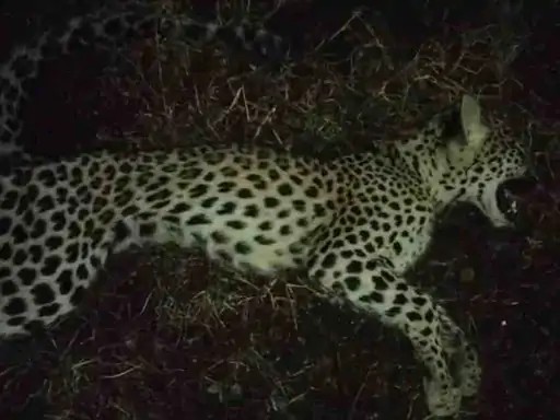 AF8732B1-A8EE-421C-B55D-CC0008B2BF07_1751872222591