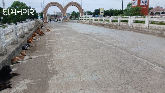 IMG_20250906_105653_898