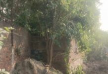 લીલીયા ભૂગર્ભ ગટરનું કરોડો રૂપિયાનું રિનોવેશન કામ ભગવાન ભરોસે