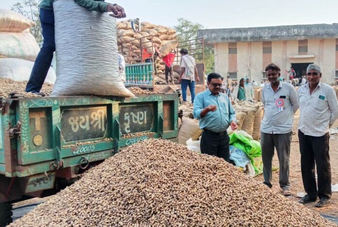 DHARI TEKANA BHAVE KHARIDI (2)