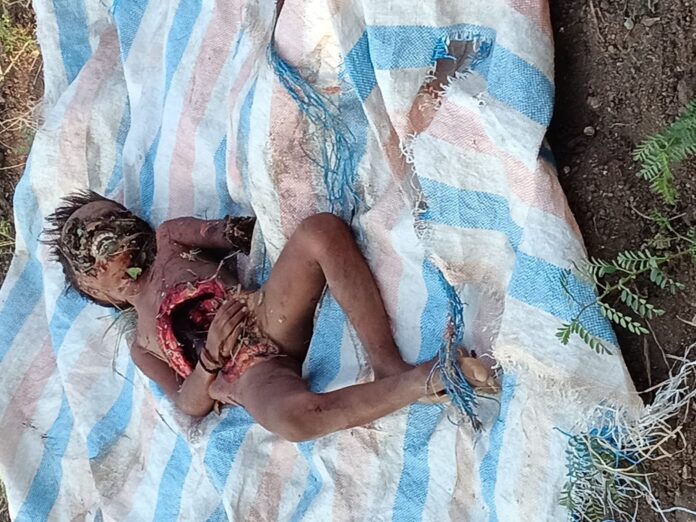 WhatsApp Image 2025-11-25 at 7.49.41 PM