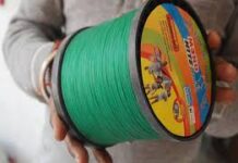 બગસરા બાયપાસ પરથી પ્રતિબંધિત ચાઈનીઝ દોરીની ૬ ફીરકીઓ સાથે એક શખ્સ ઝડપાયો