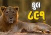 રાજ્યમાં ૨૦૦૧માં ૩૨૭ની સામે વર્ષ-૨૦૨૫માં સિંહની સંખ્યા વધીને ૮૯૧ નોંધાઇ