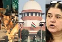 મેનકા ગાંધીના નિવેદન પર સુપ્રીમ કોર્ટ ગુસ્સે છે,વિચાર્યા વિના નિવેદનો આપવા એ તિરસ્કાર સમાન છે