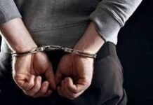 શૈલેષ ભટ્ટના ભત્રીજા સહિત પૂર્વ ધારાસભ્ય નલિન કોટડિયાના સબંધીની ધરપકડ