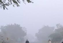 ગુજરાતમાં ઠંડીનું પ્રમાણ ઘટ્યું , ઉત્તર ગુજરાતમાં ધુમ્મસની આગાહી