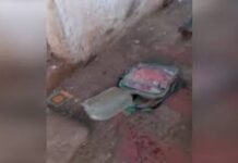 ગુજરાતમાં દારૂબંધીના ધજાગરા! વિદ્યાર્થીઓના સ્કૂલબેગ બાદ હવે પિઝા ડિલિવરી બોયના બેગમાં દારૂ પકડાયો