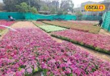 લાખથી વધુ ફૂલોથી સજ્જ ફ્લાવર શો, નવસારીને નવી ઓળખ મળશે
