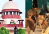 શહેરીકરણ કચરો વધારે છે અને રખડતા કૂતરાઓનો સંચય તરફ દોરી જાય છે,સુપ્રીમ કોર્ટ