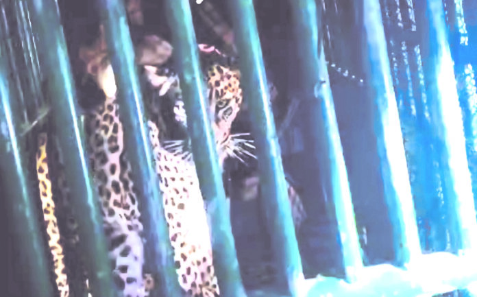 Screenshot_20260108_132319_WhatsAppBusiness