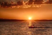 ‘સૂર્યોદયથી સૂર્યાસ્ત સુધી પ્રાર્થના કરવાની છૂટ રહેશે’; ધાર ભોજશાળા કેસમાં સુપ્રીમ કોર્ટનો નિર્દેશ