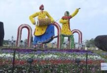 અમદાવાદમાં ઈન્ટરનેશનલ ફ્લાવર શોનો ખર્ચો એએમસીને માથે પડ્યો, શોની ૧૧ લાખ લોકોએ મુલાકાત લીધી