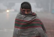 ગુજરાતમાં શિયાળો ગાયબ, ડિસેમ્બરમાં ઠંડીમાં ૫૦% ઘટાડો, નલિયામાં પણ ૨સે વધારો