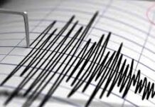 દક્ષિણ ઈરાનમાં ૫.૫ ની તીવ્રતાના ભૂકંપથી પરમાણુ પરીક્ષણનો ભય ફેલાયો