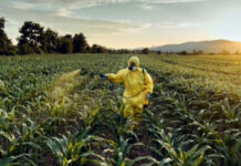 જંતુનાશકોના સલામત ઉપયોગ અંગેના પાંચ સોનેરી નિયમો