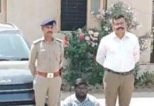 માદા દીપડાનું મોત નિપજાવનાર વડોદરાના કારચાલકની અટકાયત