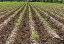 અમદાવાદના સોલામાં મોકાની જમીન વેચવાના નામે ૪૧ કરોડની છેતરપિંડી