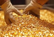 નક્સલીઓના ઢગમાંથી સૌથી મોટો જથ્થો જપ્તઃ ૩.૬૧ કરોડ રૂપિયા રોકડા અને એક કિલો સોનું મળી આવ્યું