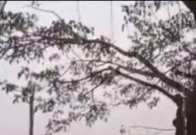 જિલ્લામાં કમોસમી વરસાદની આગાહીને લઈ તકેદારી રાખવા ખેડૂતોને અનુરોધ