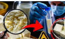 અમદાવાદમાં ખાદ્ય એકમો સામે કડક કાર્યવાહી, ૨૪૪ કિલો શંકાસ્પદ પનીર જપ્ત, અનેક ડેરી સીલ