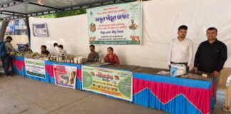 પ્રાકૃતિક કૃષિ થકી અમરેલી જિલ્લાના ખેડૂતોની એક વર્ષમાં રૂ.૬૭ લાખની કમાણી