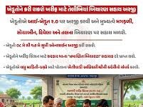 સબસીડીયુક્ત બિયારણ મેળવવા માટે અમરેલી જિલ્લાના ૩૬૬૬૯ ખેડૂતોએ અરજી કરી