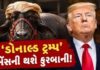 ‘ડોનાલ્ડ ટ્રમ્પ’ ભેંસનું બકરી ઇદ પર બલિદાન આપવામાં આવશે, ૩ લાખ રૂપિયામાં વેચાઈ હતી