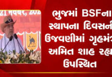 માત્ર સરહદ જ નહીં, ૫૦ કિમીની અંદરની દરેક ગતિવિધિ પર નજર રાખો,” અમિત શાહનો બીએસએફ જવાનોને સંદેશ
