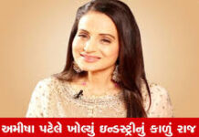 આપણી માનસિકતા બીજાઓને નીચા બતાવવાની છે, અમીષા પટેલ આલિયા ભટ્ટના સમર્થનમાં બહાર આવી
