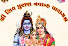 સલડી ગામમાં માતાજીની મઢી ખાતે શિવ મહાપુરાણ કથાનું ભવ્ય આયોજન