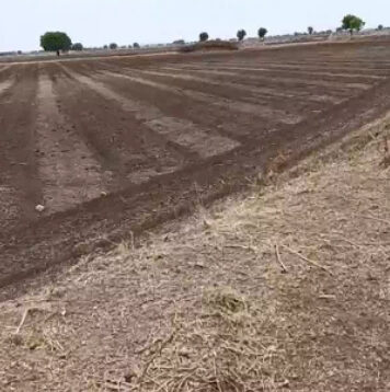 સાવરકુંડલાના કેરાળા ગામે વિધવાને ૯ વિદ્યા જમીન પરત મળતા રાહત