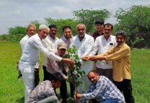 રાજુલાના વડ ગામે વૃક્ષારોપણની સાથે ગીધ સંરક્ષણની માંગ કરવામાં આવી