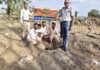 ધોરાજી નાગરિક બેન્કનો પર્યાવરણ લક્ષી અભિગમ