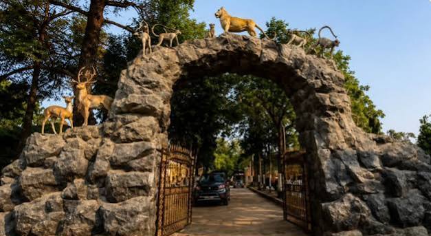 images sasangir