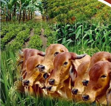 બગસરાના સુડાવડ ગામે પ્રાકૃતિક ખેતી તાલીમ કાર્યક્રમ યોજાયો