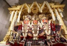 રથયાત્રા પહેલા આજે ૧૪મી જુલાઈએ નેત્રોત્સવ વિધિ, ૧૫મી સોનાવેશ દર્શનનો ભક્તોને લાભ મળશે