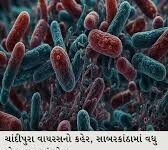 પંચમહાલમાં ચાંદીપુરા વાયરસનો કહેર, વધુ એક બાળકનું મોત; મૃત્યુઆંક ૪ પર પહોંચ્યો