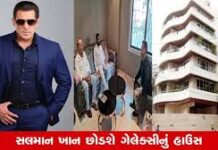 સલમાન સામે એનઆઇએની મોટી કાર્યવાહી, નવસારીમાં રહી કાશ્મીરને ભારતથી અલગ કરવા ષડયંત્ર રચ્યું હતું