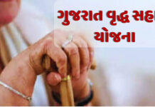 વૃધ્ધ પેન્શન યોજનામાં APL અને BPL બંને વર્ગના પાત્ર વૃધ્ધોને સમાન લાભ આપવા યુથ કોંગ્રેસની CMને રજૂઆત