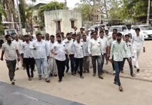વીજ લાઈન વળતર વિવાદઃ કિસાન કોંગ્રેસના પાલ આંબલિયાનો સરકાર પર પ્રહાર, ‘પહેલા પોલિસી બનાવો પછી કામ શરૂ કરો’