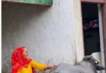 નકલી.. નકલી.. નકલી. આજકાલ હંધૂય નકલી નકલી મળે છે
