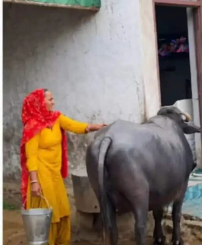 WhatsApp Image 2026-08-29 at 11.14.10 AM