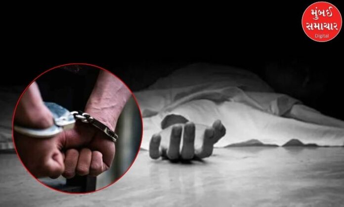 article_pune-crime-daund-elderly-woman-murder-two-arrested_1787311721_z4snT