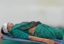 તોરણીયાથી નાની પરબડી જતાં શ્વાન આડું ઉતરતાં અકસ્માતમાં બે ઘાયલ