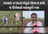 ૭૦ હજાર ખર્ચીને ઉગાડેલી મગફળી બરબાદ, વરસાદ ખેંચાતા રાજકોટના ખેડૂતે ટ્રેક્ટર ફેરવી પાક ઉખેડી નાખ્યો