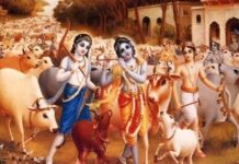 આંતરાષ્ટ્રીય હિન્દુ પરિષદ અમરેલી દ્રારા ક્રૃષ્ણ જન્મોત્સવનું આયોજન કરાયું