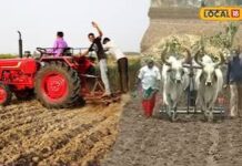 વરસાદ, વાવેતર અને વરાપ : ખેડૂતો માટે ખાસ કૃષિ સલાહ
