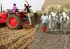 વરસાદ, વાવેતર અને વરાપ: ખેડૂતો માટે ખાસ કૃષિ સલાહ