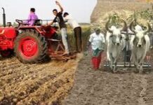 વરસાદ, વાવેતર અને વરાપ: ખેડૂતો માટે ખાસ કૃષિ સલાહ
